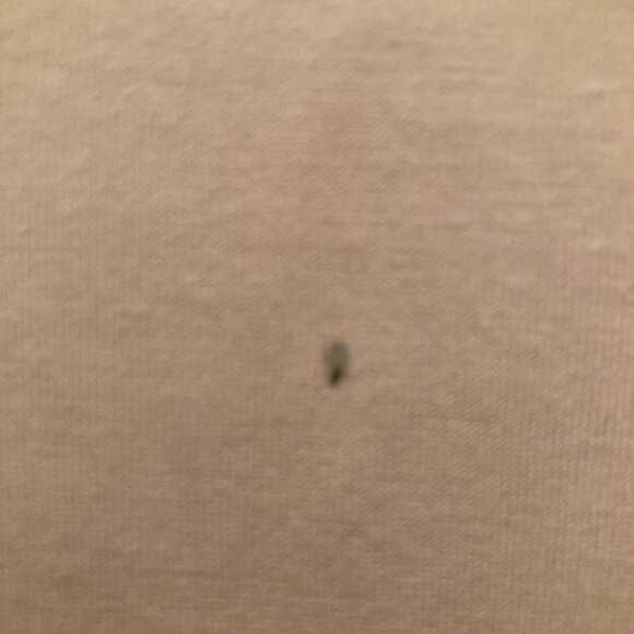 NWT Dantelle Sleeveless Top - Cream Sheer Lace Front/Solid Back  Size 2X - Picture 3 of 6